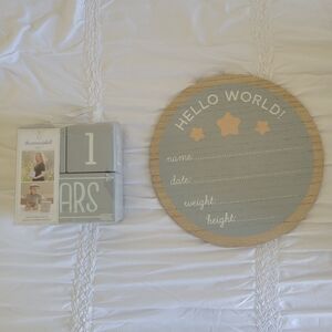 Baby Gray and Tan Milestone Blocks and Birth Sign Set